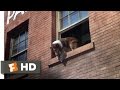 Lassie Come Home (9/10) Movie CLIP - A Daring Leap (1943) HD