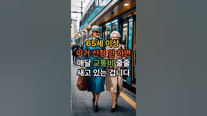 65세 이상 지하철·버스 공짜? │ 경로우대 교통카드 신청법 │ #65세이상 #지하철무료 #버스할인 #시니어지원금 #경로우대카드신청법 #교통비절약 #복지혜택