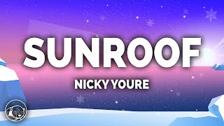 Nicky Youre - Sunroof (Lyrics)