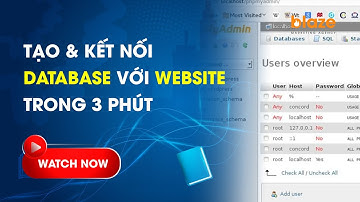 Tạo và kết nối database với Website Wordpress