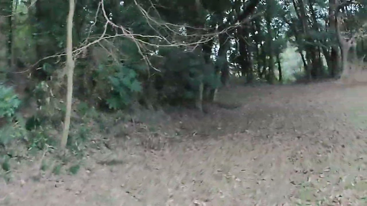 茨城県取手市　高井城