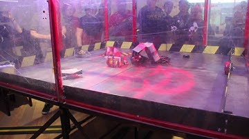 Beetleweights @ UWE 2017