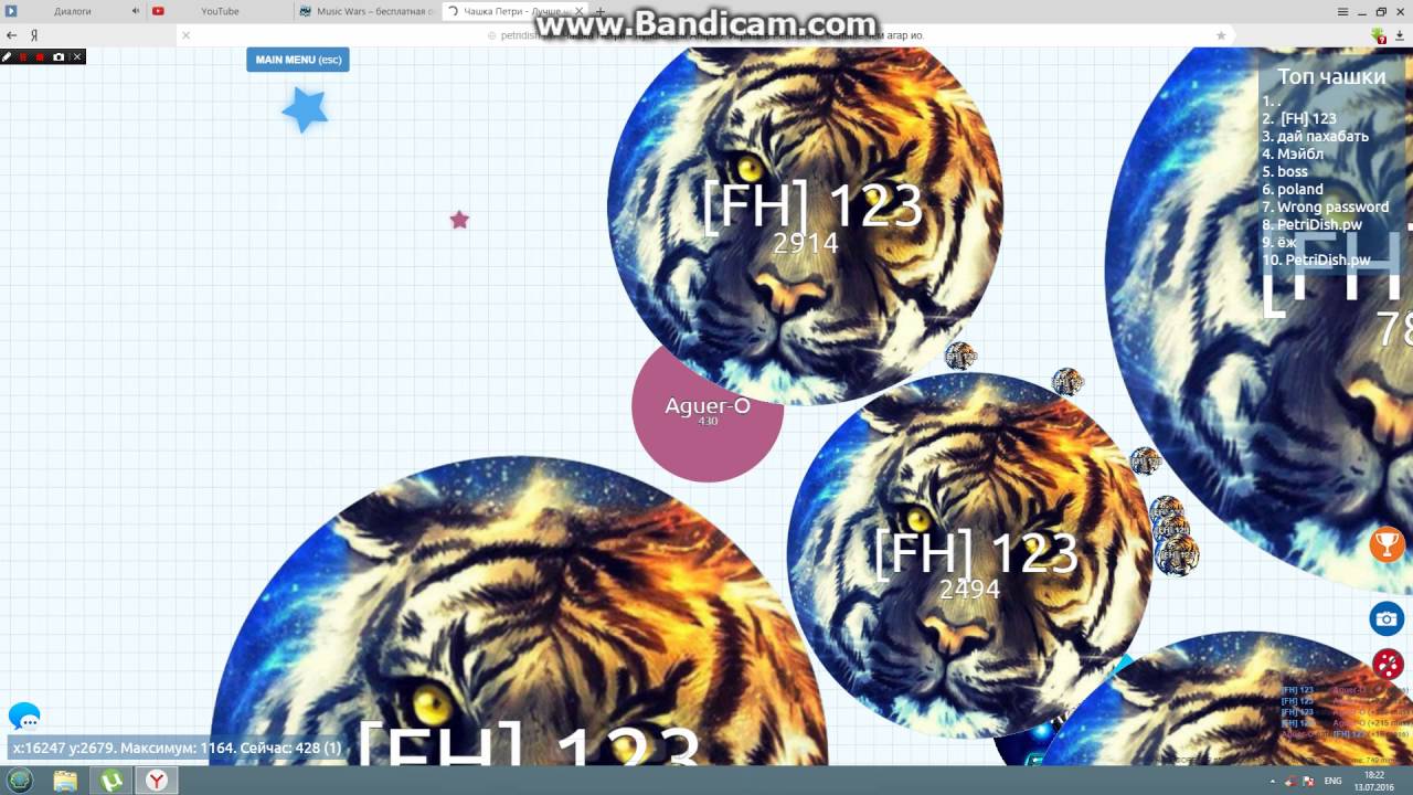 Чашка Петри - YouTube