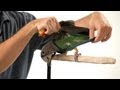 How to Put a Harness on Your Parrot | Parrot Training