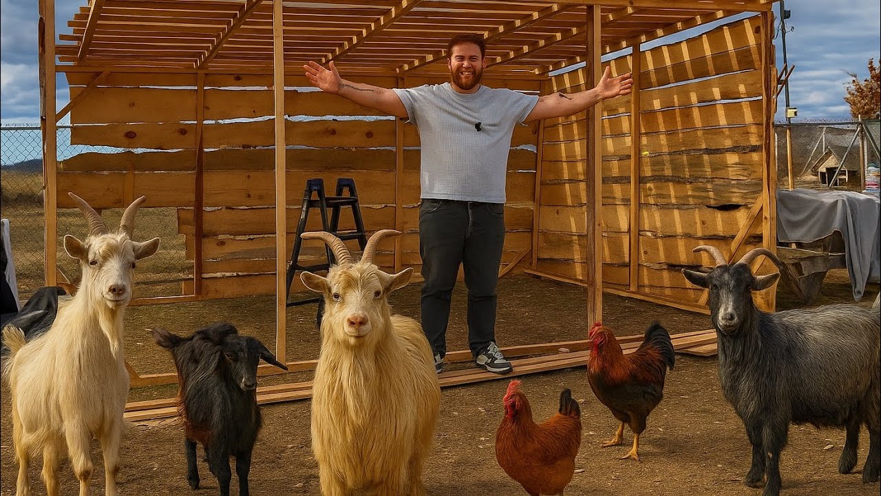 СТРОИМ ЛУЧШИЙ Хлев для Наших Коз! (Ультимативный DIY Проект)