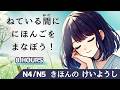 Learn Japanese Adjectives While Sleeping 8Hours| N4 N5 Full Conjugation Practice