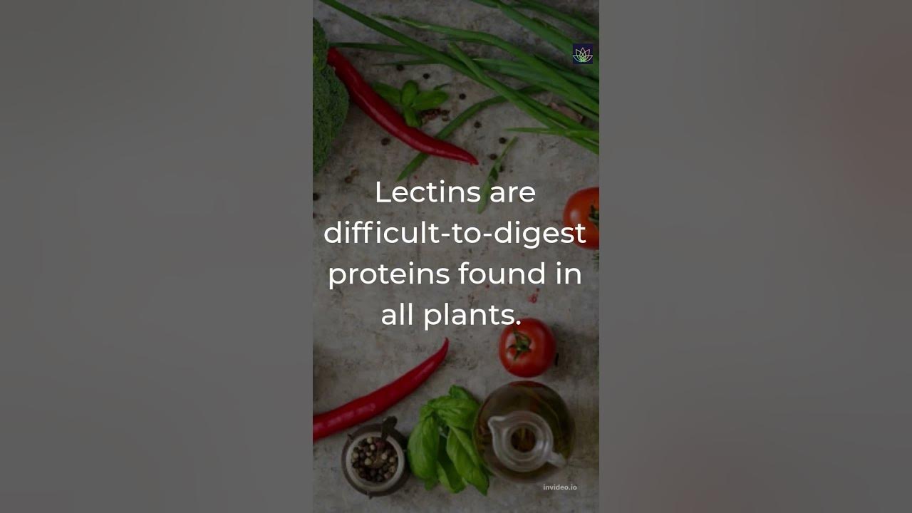 Avoid lectins in your food YouTube
