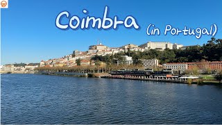 포르투갈 코임브라(Coimbra), 헤리포터 모티브가 있다는 코임브라 대학교도 살짝 한바퀴, 전반적인 경치 및 차분한 대학교 분위기가 좋음. :)