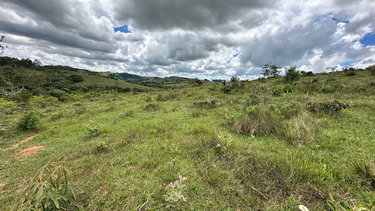 A venda 21 hectares apenas 6 km da cidade com energia elétrica e boa topografia MG 
