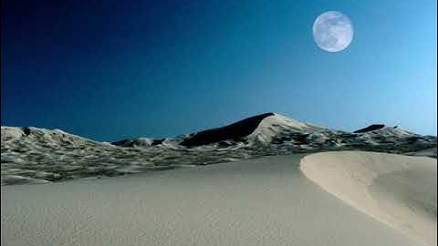 ٥٥-سورة (الرحمن) الشيخ فواز الكعبي