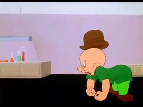 Bunny cartoon - YouTube