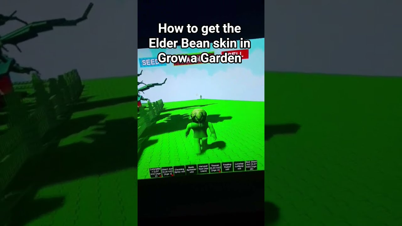 BTW It S Free