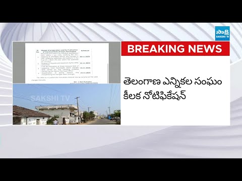 Telangana Election Commission Release Important Notice on Local Body Elections | Sakshi TV - SAKSHITV
