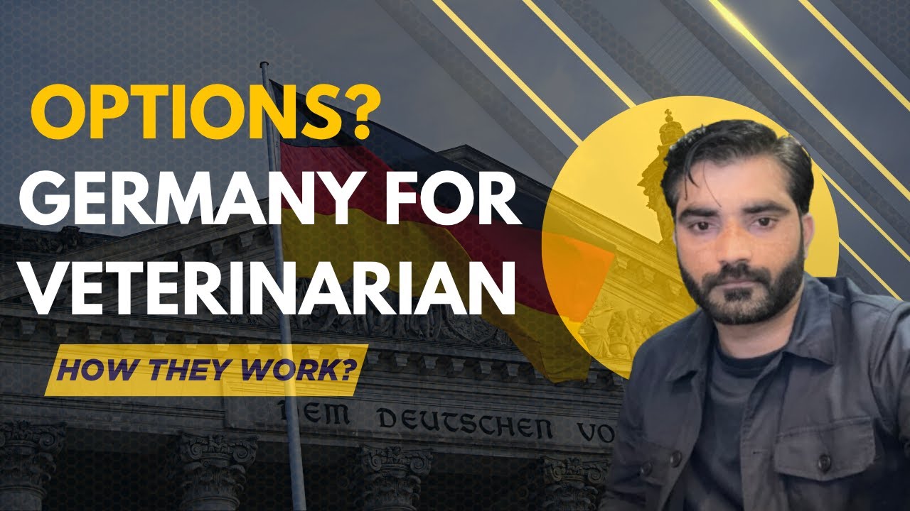 How Does the Veterinary System Work in Germany How to Get a Veterinary Job in Germany
