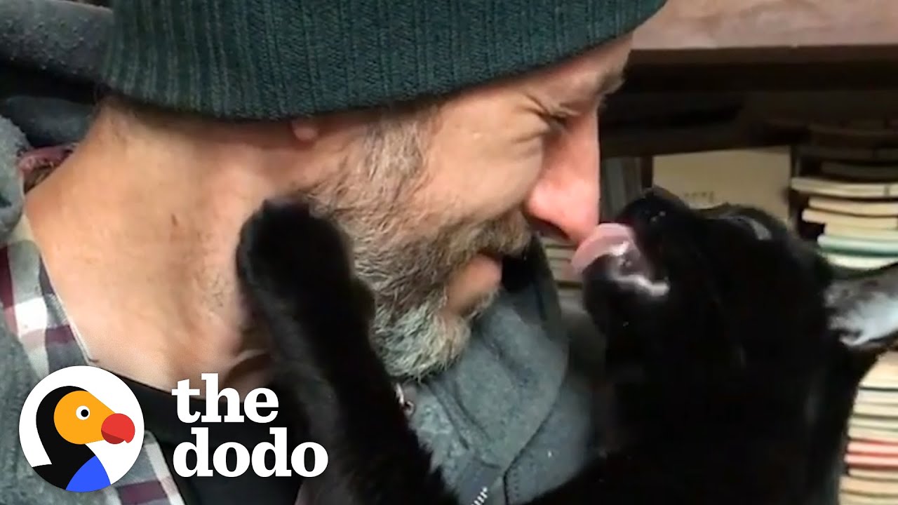 Guy Finds Stray Kitten And Bonds Hard With Him | The Dodo Soulmates