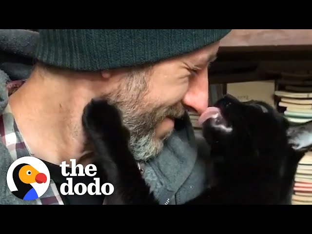 Guy Finds Stray Kitten And Bonds Hard With Him | The Dodo Soulmates class=