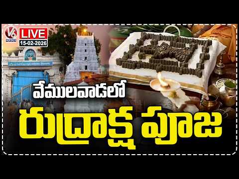 LIVE : Rudraksha Pooja At Vemulawada Rajanna Temple | Maha Shivaratri celebrations at Vemulawada |V6