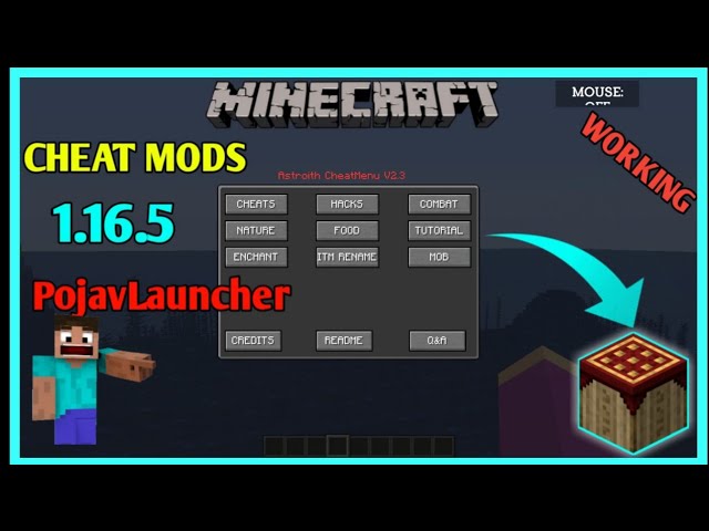 How to get Cheats for Minecraft 1.16.5 - download install Aristois