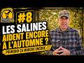 Pourquoi les salines aide encore à l’automne Aventures Express TV #Orignal #Salines #chasse