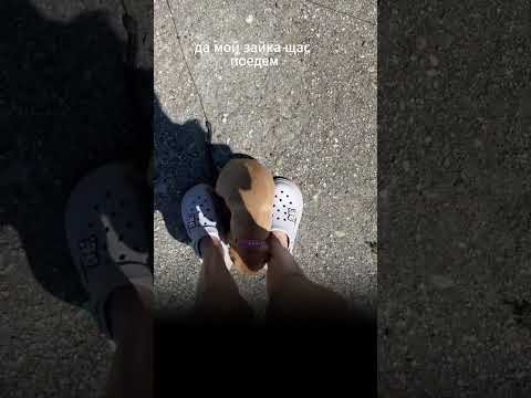 Поехали мамку поискать... #помощьбездомнымживотным #непокупайприюти #собакасисторией