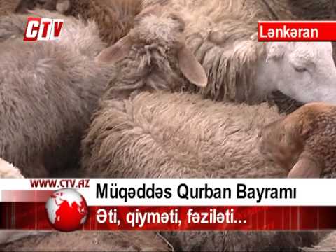 Müqəddəs Qurban bayramı - əti, qiyməti, fəziləti...