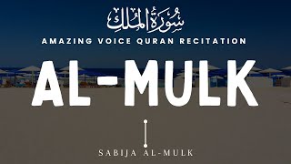 Calming Voice Recitation of Surah Al Mulk |  سورة الملك | Protect You In The Grave