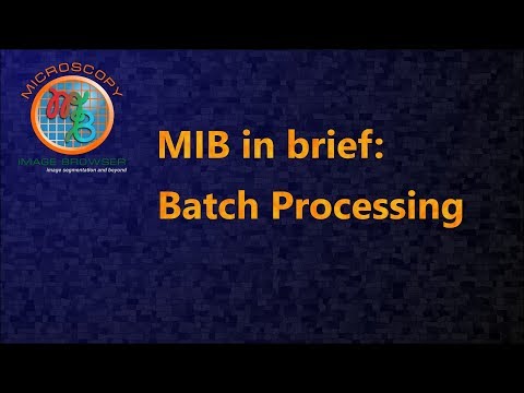 MIB in brief: Batch processing of files