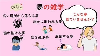 夢の雑学2#雑学 #豆知識 #トリビア#男女#心理#夢