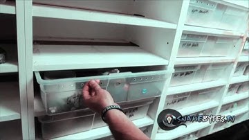 Snake Bytes TV - Worlds Craziest Snake Bites : SnakeBytesTV