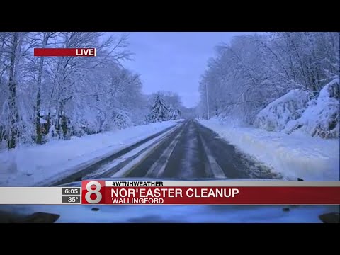 Storm leaves power outages, downed trees and slushy roads