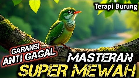 TERAPI UNTUK SEMUA JENIS BURUNG , SUARA GEMRICIK AIR , MASTERAN SPESIAL 2025 TERMEWAH || SINGO EDAN