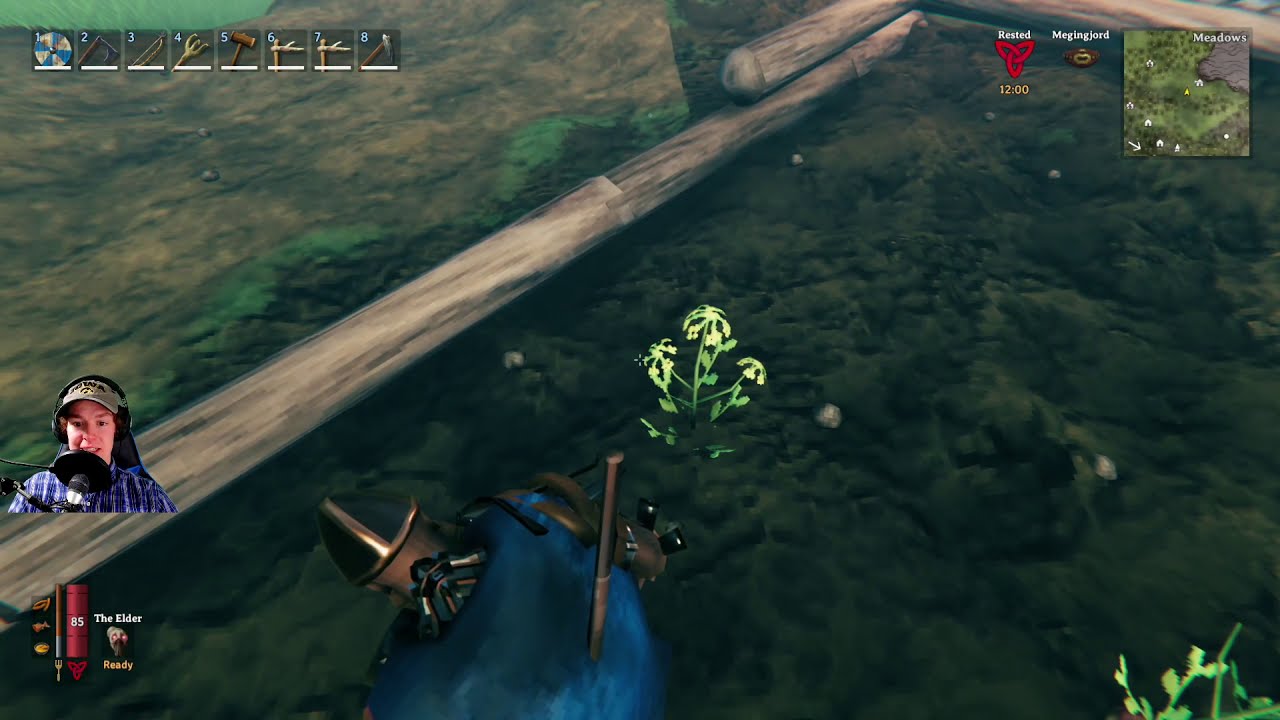 pics Can't Find Turnips Valheim how to find the a turnip seed valheim