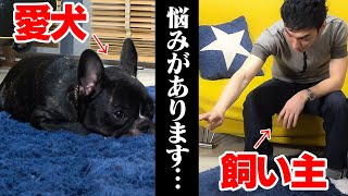 レオンのしつけについて悩んでます・・・