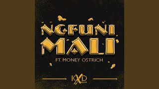 Ngfuni Mali (feat. Money Ostrich) - Radio Mix