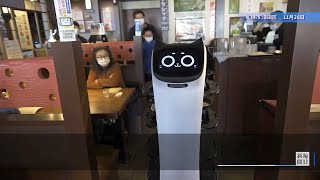 「料理持ってきましたニャン」ネコ型配膳ロボット、道内初導入