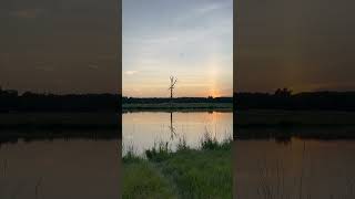 One more sunset @FaithFarmMom
