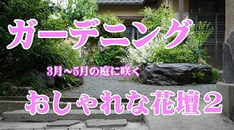 ガーデニング初心者 Youtube