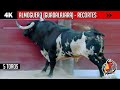 ALMOGUERA // CONCURSO NACIONAL DE RECORTES 2020 (UHD/4K) | Impresionantes toros de Antonio San Román