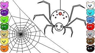 Spider and Her Web | Coloring Book and Drawing