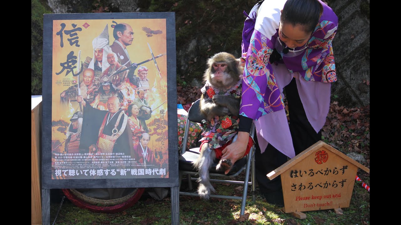 こころ🐵ちゃんは、自分が出演している映画『信虎』の宣伝をしていました。紅葉の名所、高源寺での公演の模様。猿まわし🐵💝　二助企画