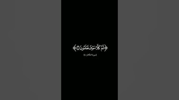 {ألهكم التكاثر}#كرومات_شاشه_سوداء  #الشيخ_أبو_بكر_الشاطري #سورة_التكاثر #كرومات_قرآن #quran