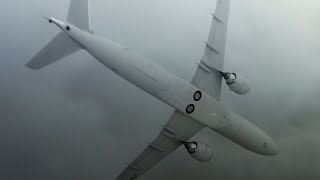 Air Astana Flight 1388 - Landing Animation