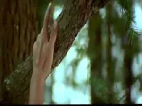 وائل جسار لمين هعيش