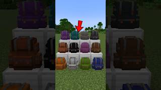 Backpack in Minecraft 😱🎒!