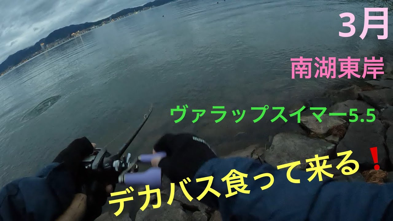 【バス釣り】ヴァラップスイマー5.5インチ❗️デカバス反応❗️琵琶湖