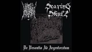 Hasserben - The Vampiric Tyrant (Satanic Warmaster Cover) Black Metal