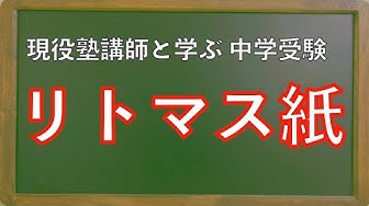 リトマス紙 Youtube