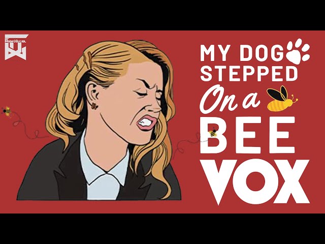 AMBER HEARD - MY DOG STEPPED ON A BEE [REMIX] 