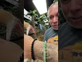 My Pet Snake Jimmy Is NOT Happy mp3