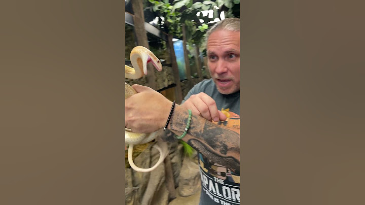 My Pet Snake "Jimmy" is NOT Happy...